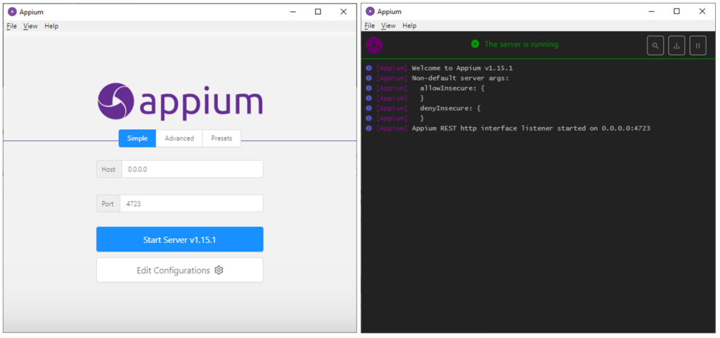 appium server capabilities